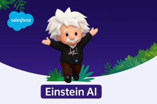 Einstein AI
